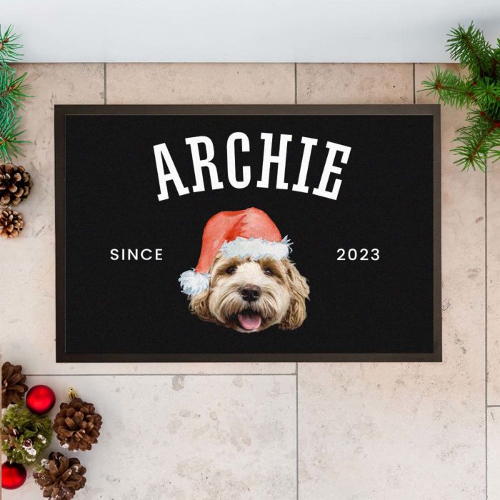 Personalised Doormat with Pet in Christmas Hat