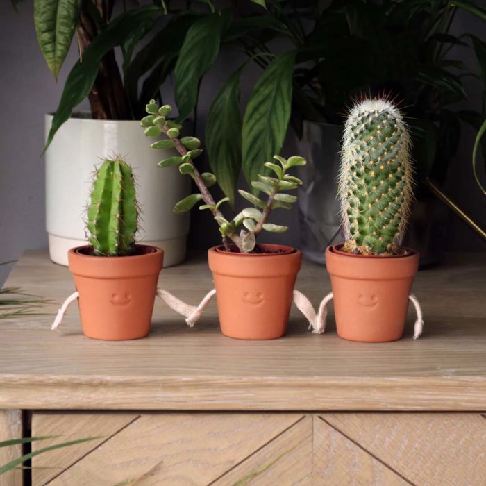 Hand-Holding Succulent Pots